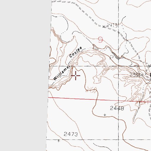 Topographic Map of Williams Coulee, MT