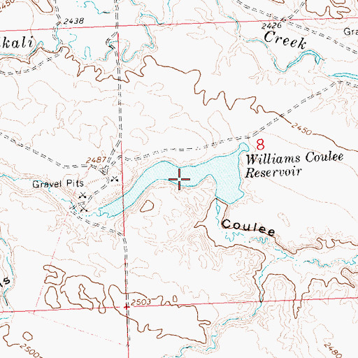 Topographic Map of Williams Coulee Reservoir, MT