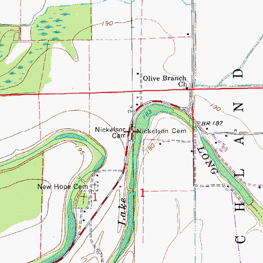 Topographic Map of Nickelson Cemetery, AR