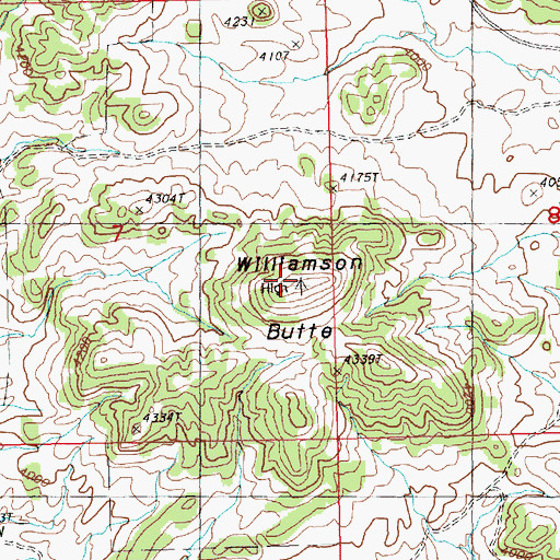 Topographic Map of Williamson Butte, MT