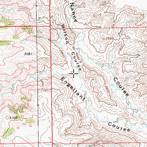 Topographic Map of Wilson Coulee, MT