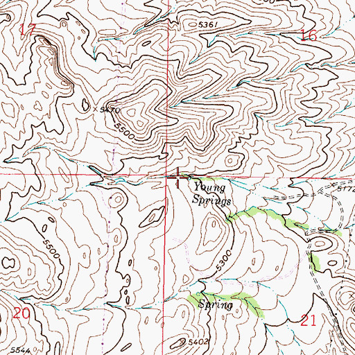 Topographic Map of Young Springs, MT