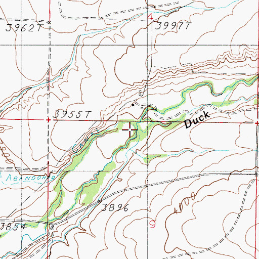 Topographic Map of North Fork Duck Creek, MT