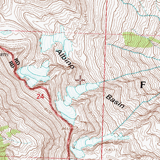 Topographic Map of Albino Basin, MT