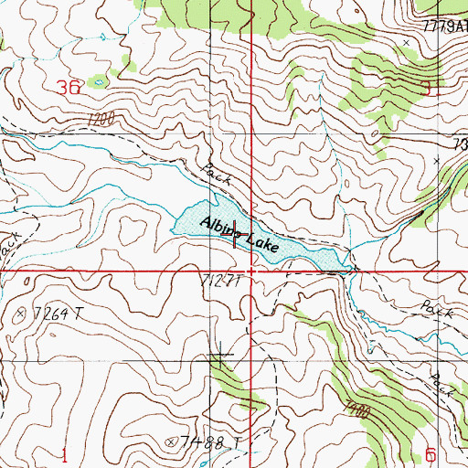 Topographic Map of Albino Lake, MT