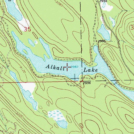 Topographic Map of Alkali Lake, MT