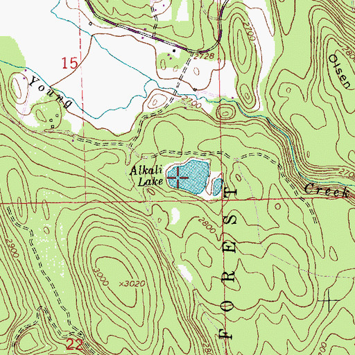 Topographic Map of Alkali Lake, MT