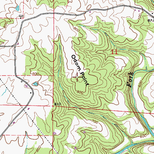 Topographic Map of Odom Point, AR