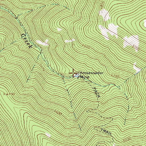 Topographic Map of Ambassador Mine, MT