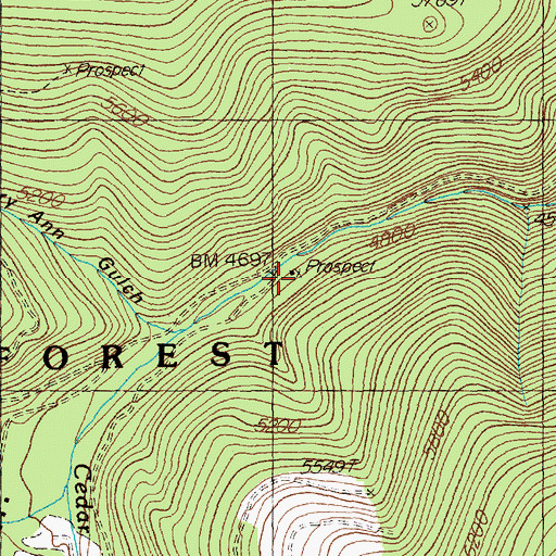 Topographic Map of American Gold Mine, MT