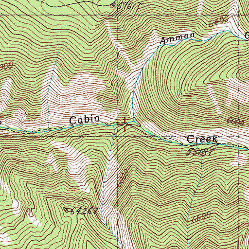 Topographic Map of Ammon Gulch, MT