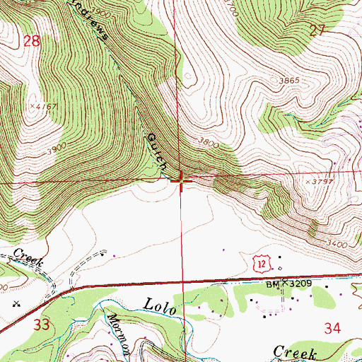 Topographic Map of Andrews Gulch, MT