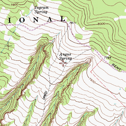 Topographic Map of Angus Spring, MT