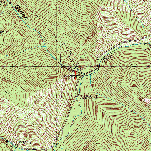 Topographic Map of Ann Arbor Gulch, MT