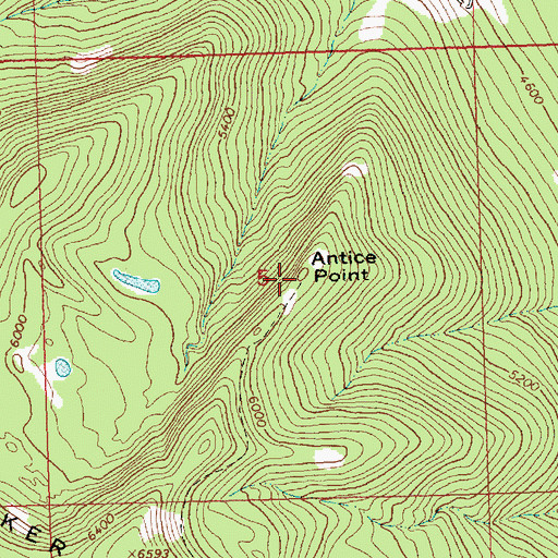 Topographic Map of Antice Point, MT