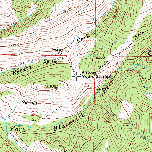 Topographic Map of Antone Guard Station, MT