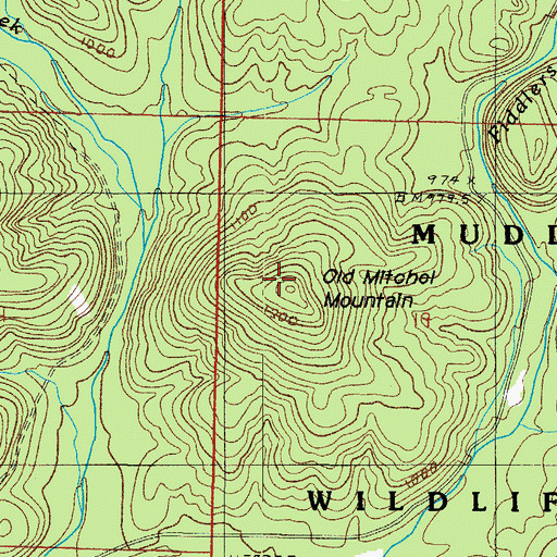 Topographic Map of Old Mitchel Mountain, AR