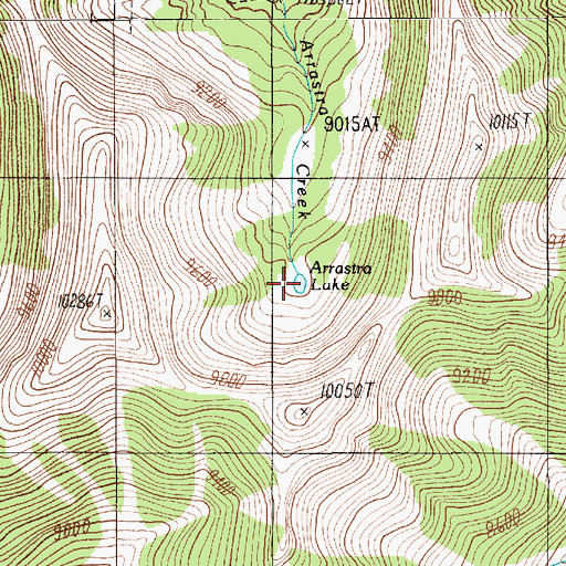 Topographic Map of Arrastra Lake, MT