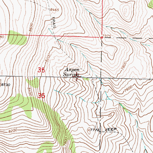 Topographic Map of Aspen Spring, MT
