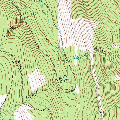 Topographic Map of Aster Creek, MT