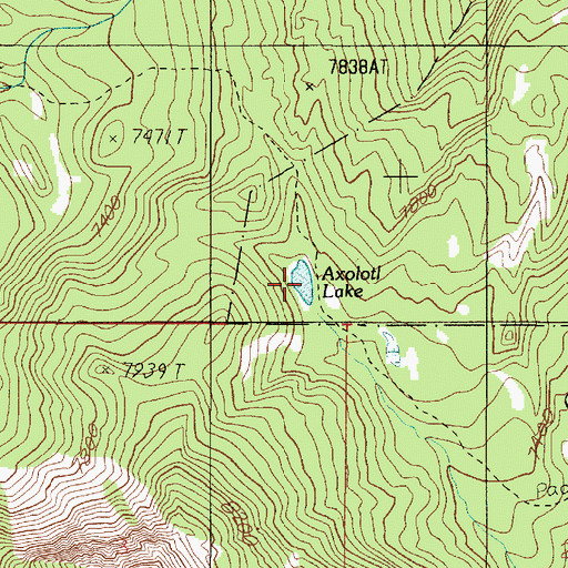 Topographic Map of Axolotl Lake, MT