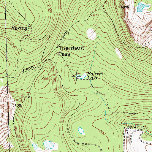 Topographic Map of Baboon Lake, MT