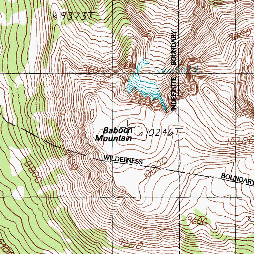 Topographic Map of Baboon Mountain, MT