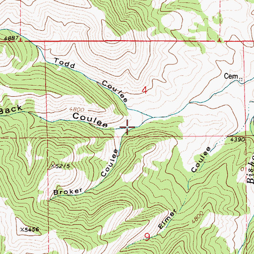 Topographic Map of Back Coulee, MT