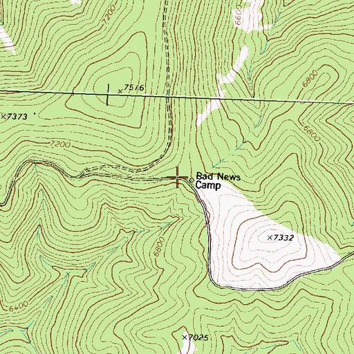 Topographic Map of Bad News Camp, MT