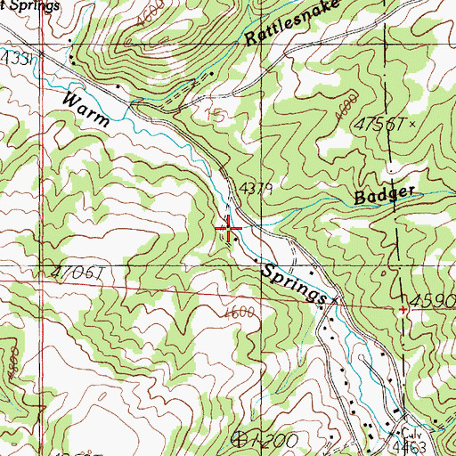 Topographic Map of Badger Creek, MT