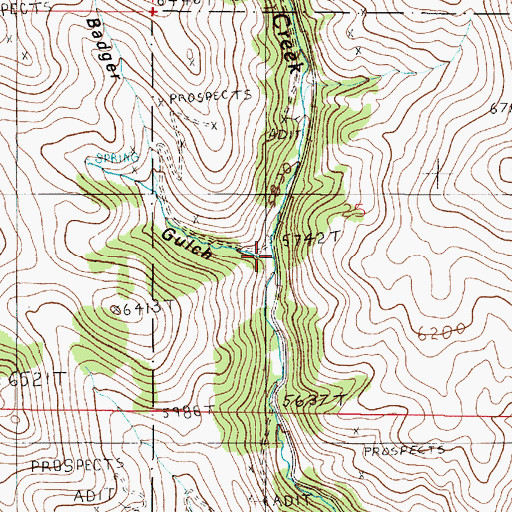 Topographic Map of Badger Gulch, MT
