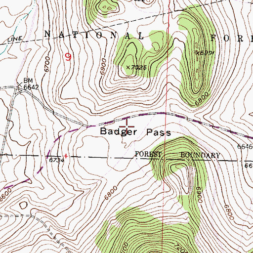 Topographic Map of Badger Pass, MT