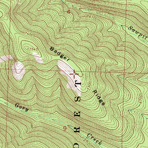 Topographic Map of Badger Ridge, MT