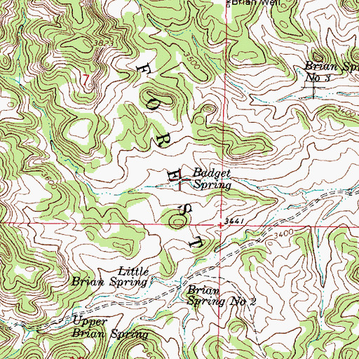 Topographic Map of Badget Spring, MT