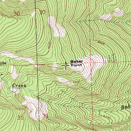 Topographic Map of Baker Point, MT