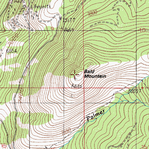 Topographic Map of Bald Mountain, MT