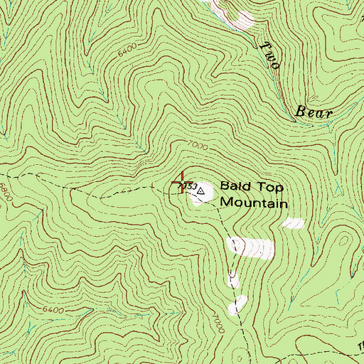 Topographic Map of Bald Top Mountain, MT