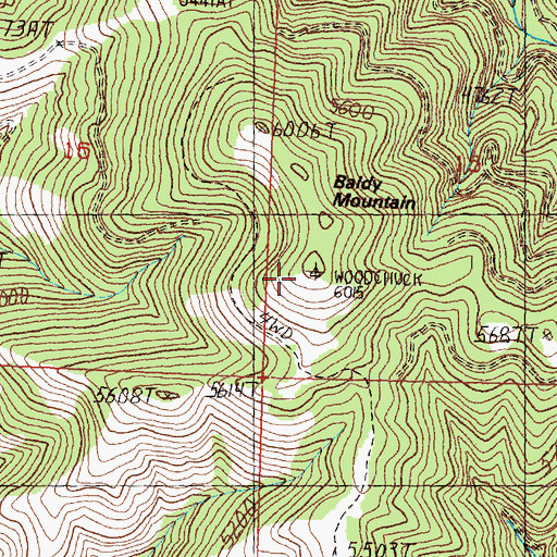 Topographic Map of Baldy Mountain, MT