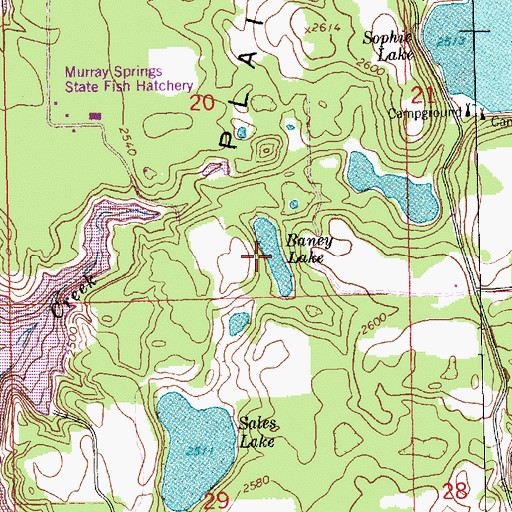 Topographic Map of Baney Lake, MT
