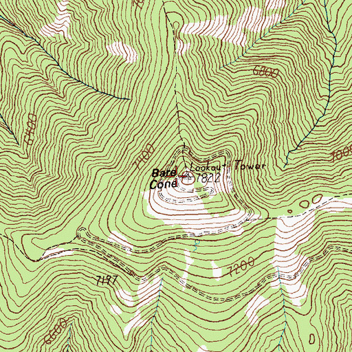 Topographic Map of Bare Cone, MT