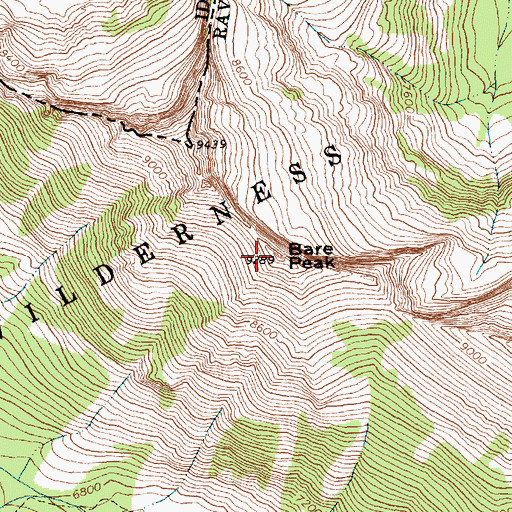 Topographic Map of Bare Peak, MT