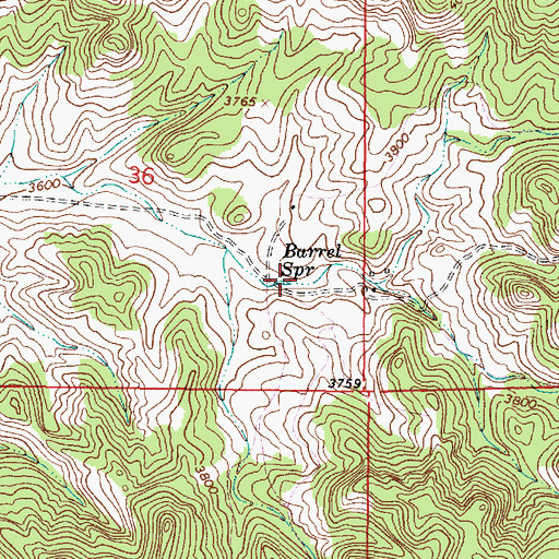Topographic Map of Barrel Spring, MT