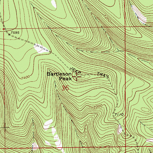 Topographic Map of Bartleson Peak, MT