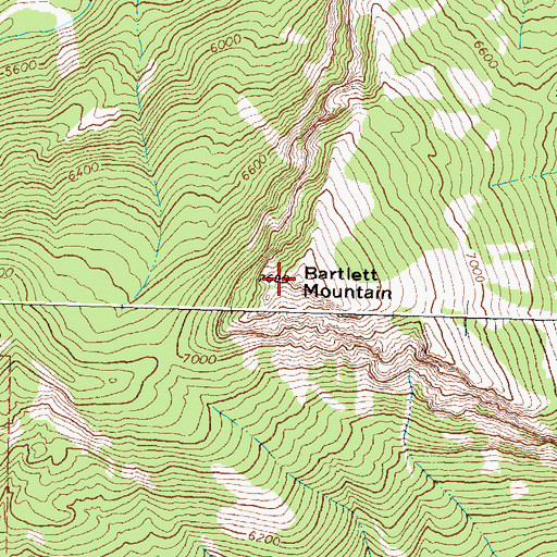 Topographic Map of Bartlett Mountain, MT