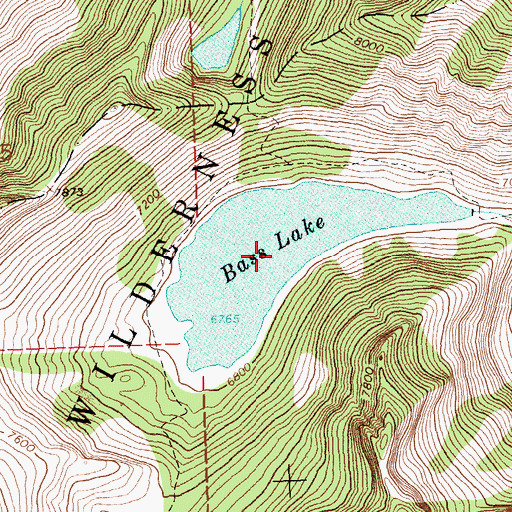 Topographic Map of Bass Lake, MT