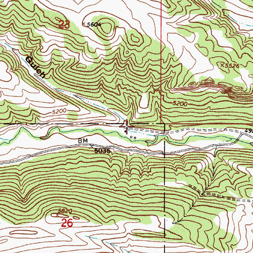 Topographic Map of Batchelor Gulch, MT