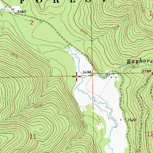 Topographic Map of Bayhorse Creek, MT