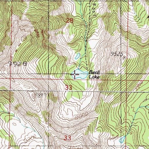 Topographic Map of Beall Lake, MT