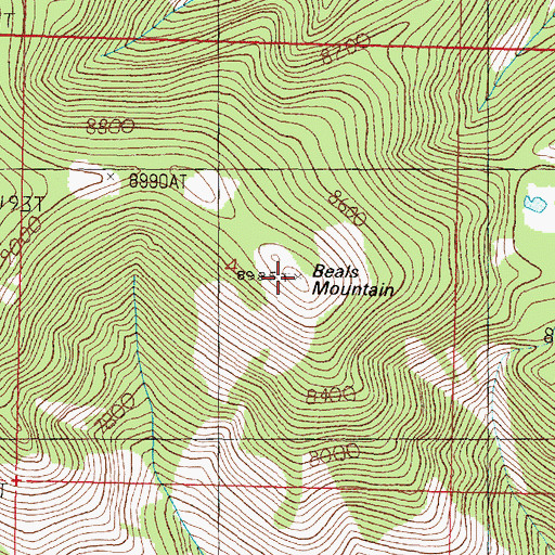 Topographic Map of Beals Mountain, MT