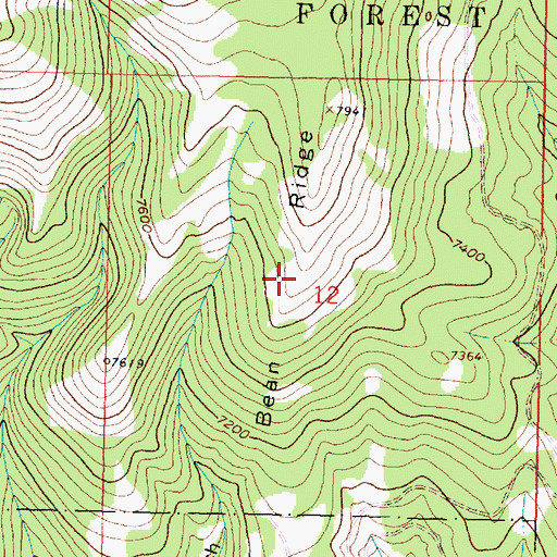 Topographic Map of Bean Ridge, MT